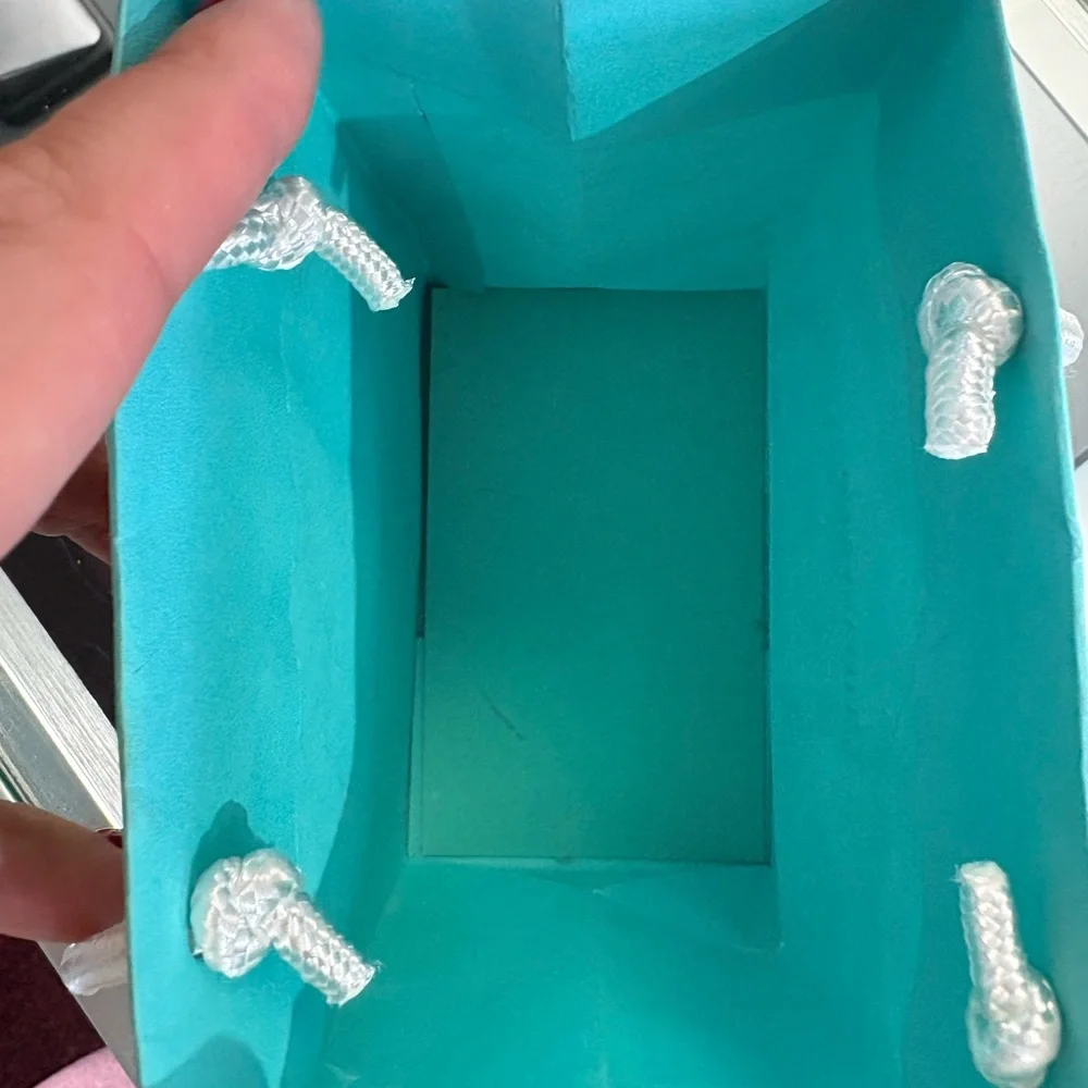 Tiffany & Co. Gift Bag Size 9in x 4.75in